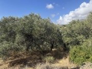 Sellia bei Plakias Kreta, Sellia: Erstklassiges Grundstück mit Meerblick in der Nähe von Plakias zu verkaufen Grundstück kaufen